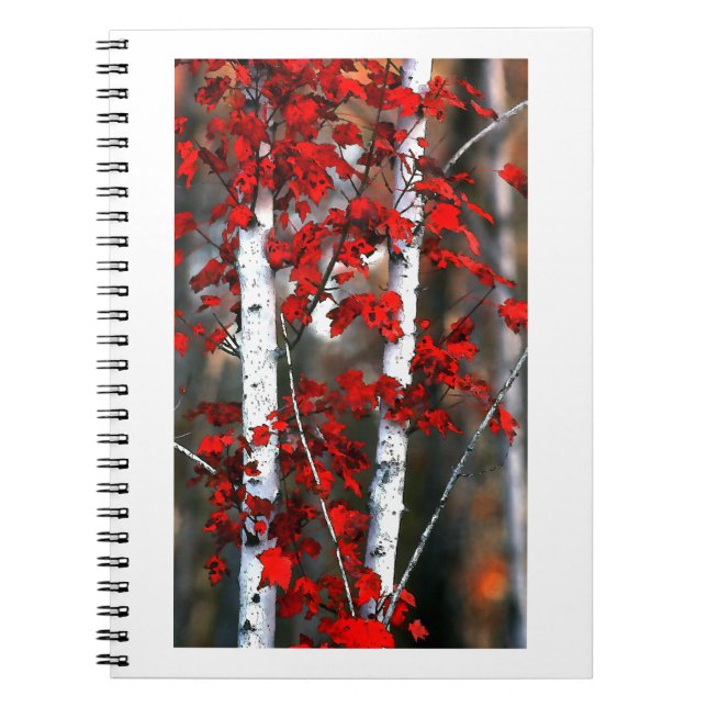 Carnet Birch#2-Notebook (Devant)