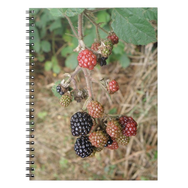 Carnet Blackberry Bonanza (Devant)