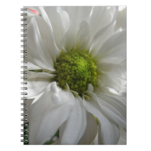 Carnet blanc Chrysanthemum