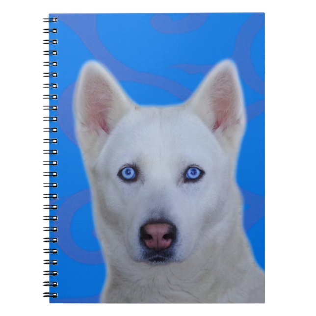 Carnet blanc de chien de traîneau sibérien (Devant)