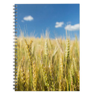 Carnet Blé du Kansas