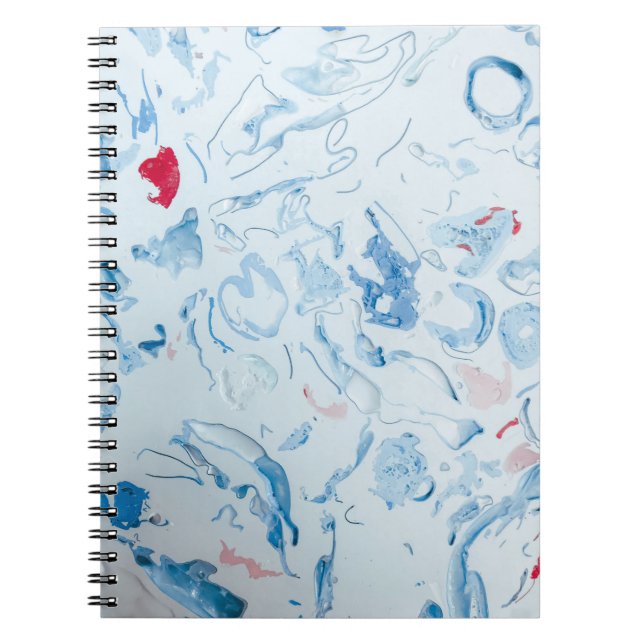 Carnet Bleu (Devant)