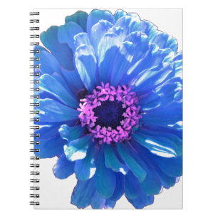 Carnet Bleu marguerite bleu photo florale