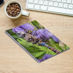 Carnet Bleu-Oyé Denton sur Flower