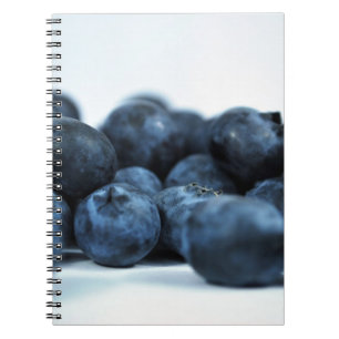 Carnet Bleuets frais mûrs