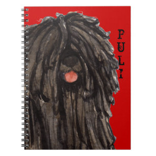 Carnet Bloc de couleurs Puli