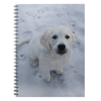 Carnet Bloc - notes de chiot de golden retriever