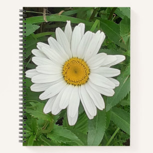 Carnet Bloc-notes en spirale de marguerite blanche