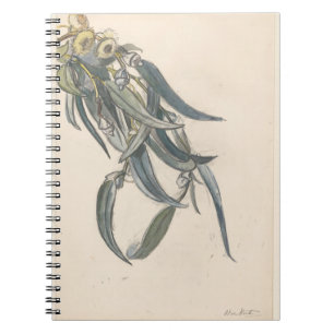Carnet Bloeiende tak van een eucalyptus