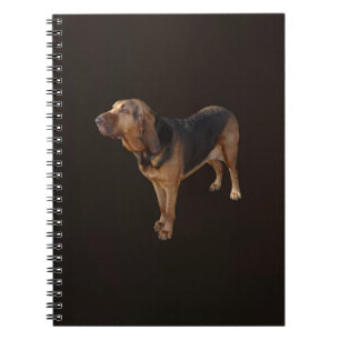 Carnet Bloodhound