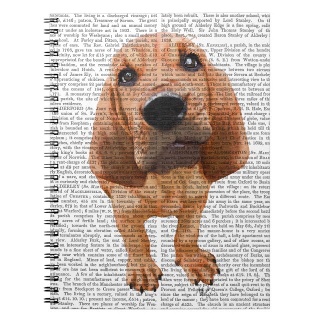 Carnet Bloodhound Puppy (Devant)