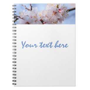 Carnet Blossom des abricots japonais