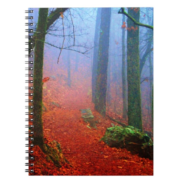 Carnet Blue fog (Devant)