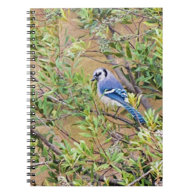 Carnet Blue Jay sur Southern Wax Myrtle (Devant)