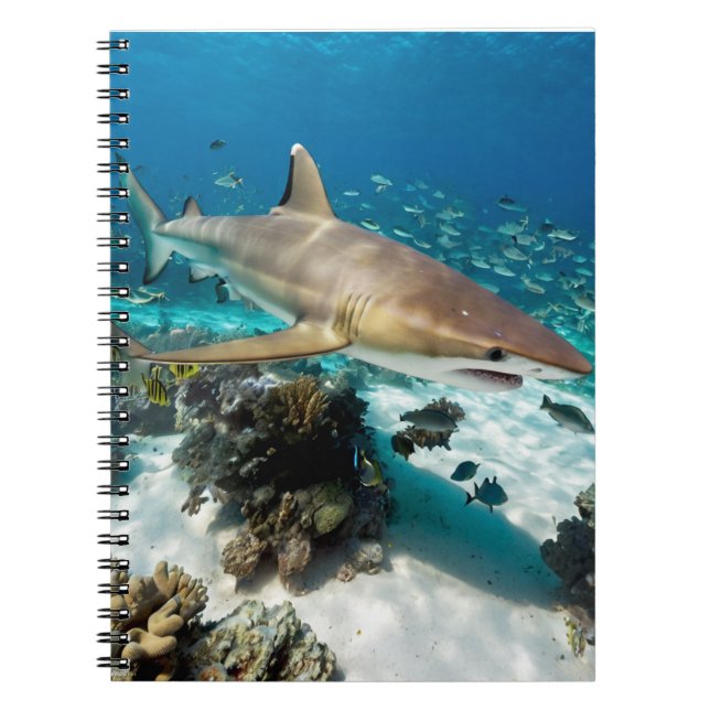 Carnet Blue Ocean Summer Beach requin Photo (Devant)
