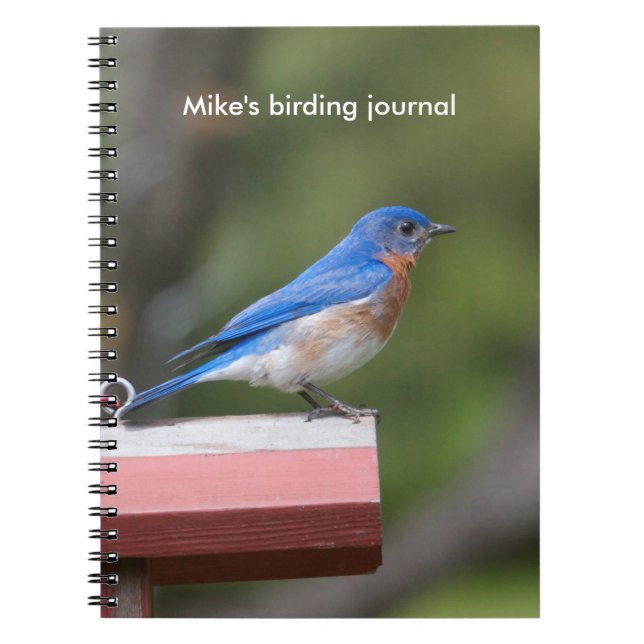 Carnet Bluebird (Devant)