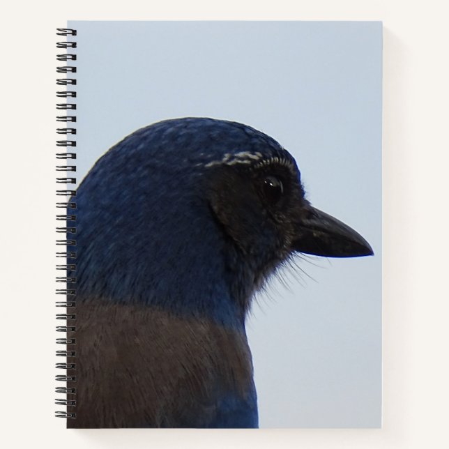 Carnet Bluebird (Devant)