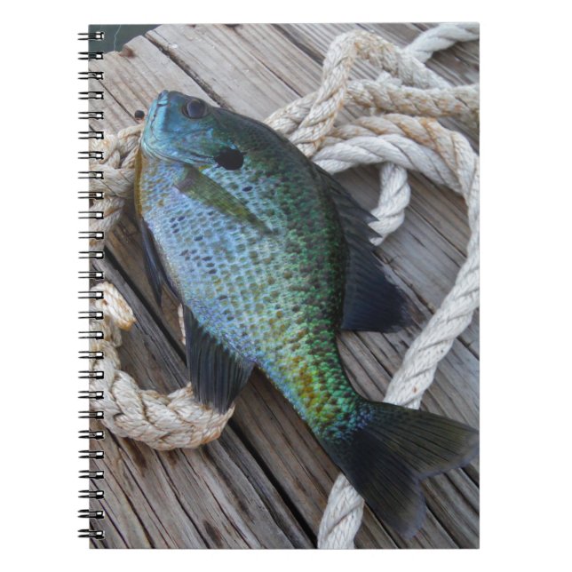 Carnet bluegill sur quai (Devant)