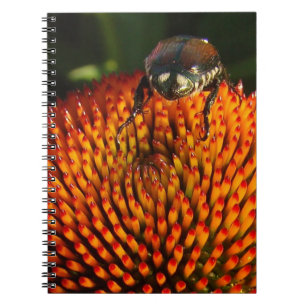 Carnet Bogue sur la fleur