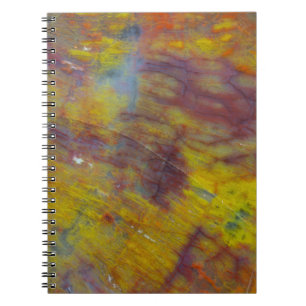 Carnet Bois Pétrifié