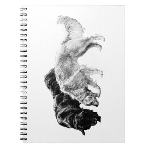 Carnet Bond d'automne