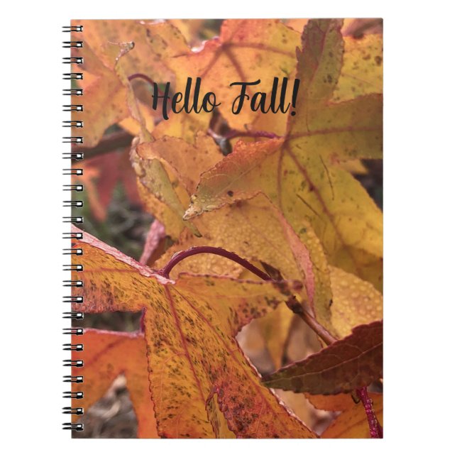 Carnet "Bonjour l'automne !" (Devant)