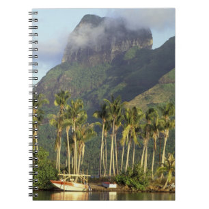 Carnet Bora Bora, Polynésie française Scène de front de m
