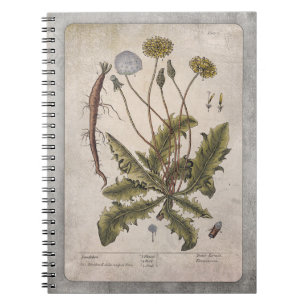 Carnet Botanical Illustration Notebook - Dandelion