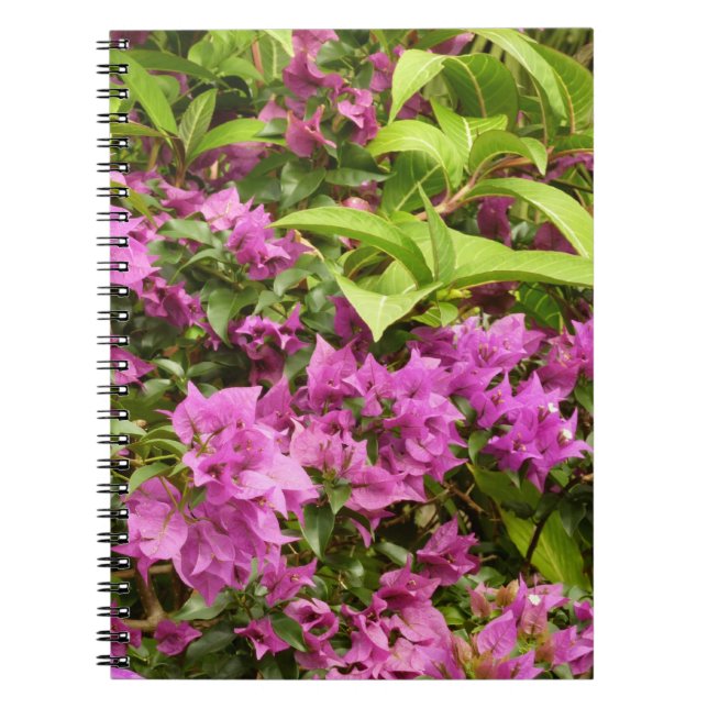 Carnet Bougainvillées tropicales violettes (Devant)