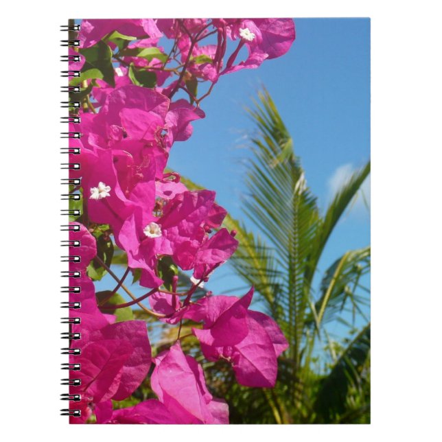 Carnet Bougainvilliers et palmiers paysage tropical (Devant)