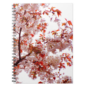 CARNET BOUQUET MAGNIFIQUE DES FLEURS