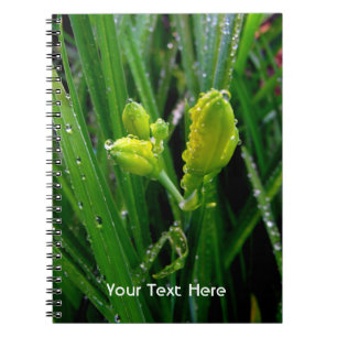 Carnet bourgeons verts printaniers