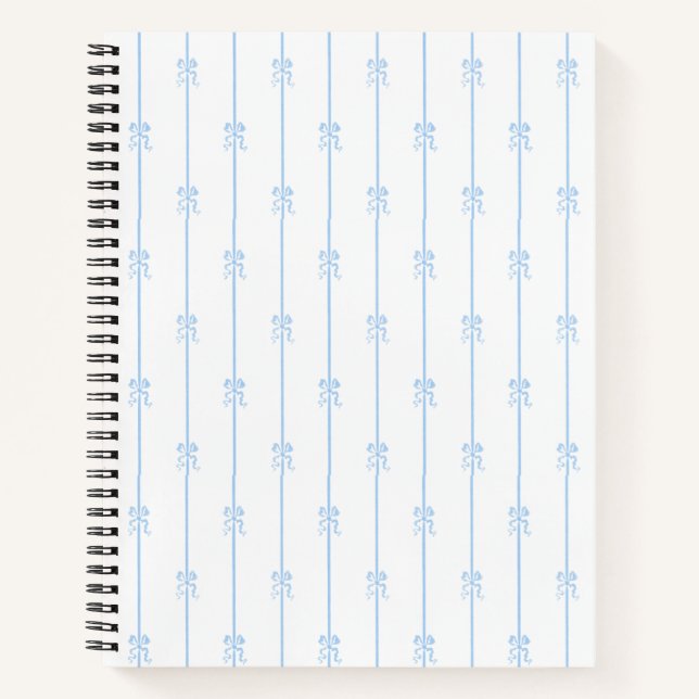 Carnet Bows et bandes bleues (Devant)