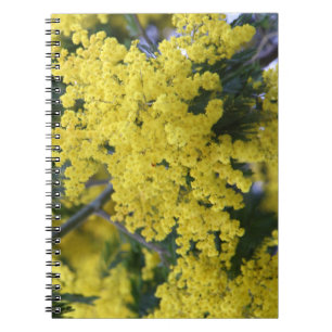 Carnet Branche de mimosa