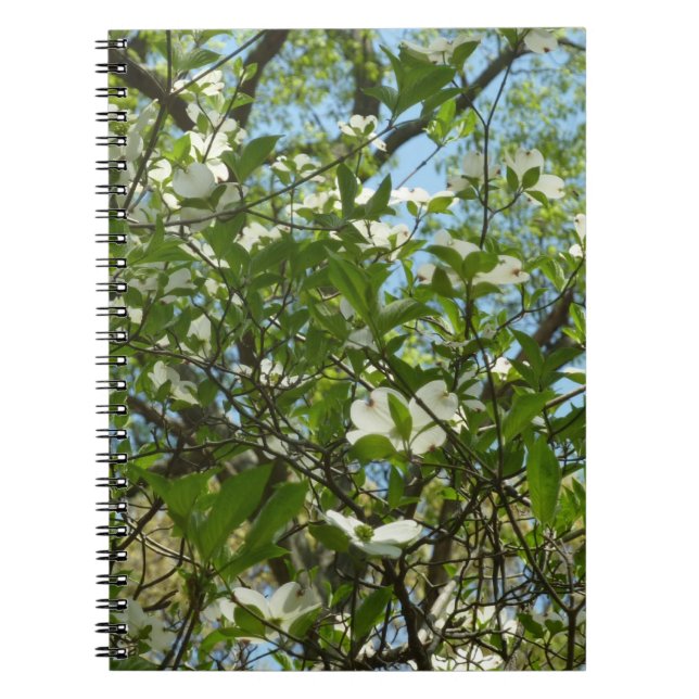 Carnet Branche of Dogwood Blossoms Spring Trees (Devant)