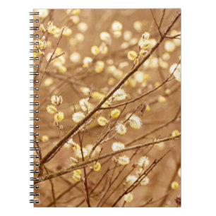 Carnet Branches florissantes de saules au printemps, sais