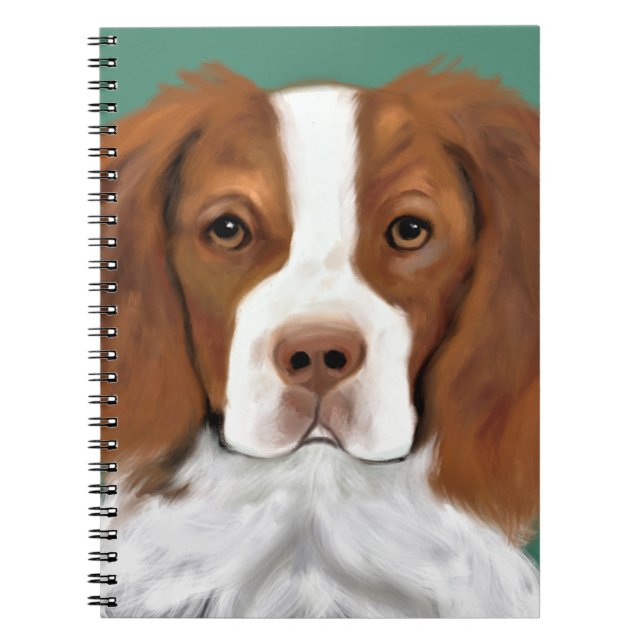 Carnet Bretagnes (Devant)