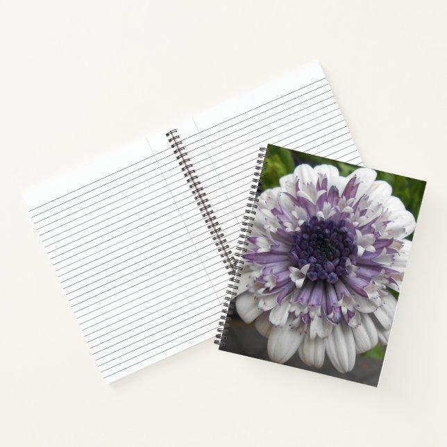 Carnet Brett (Intérieur)