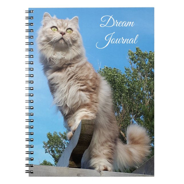 Carnet britannique du London Cat Dream Journal (Devant)