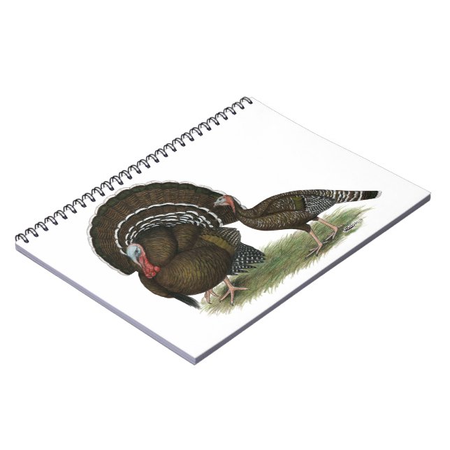 Carnet Bronze standard de Turkey (Côté gauche)