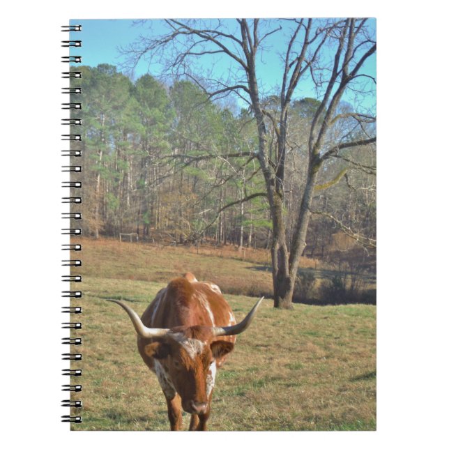 Carnet Brown et blanc Longhorn Bull Blue Sky (Devant)