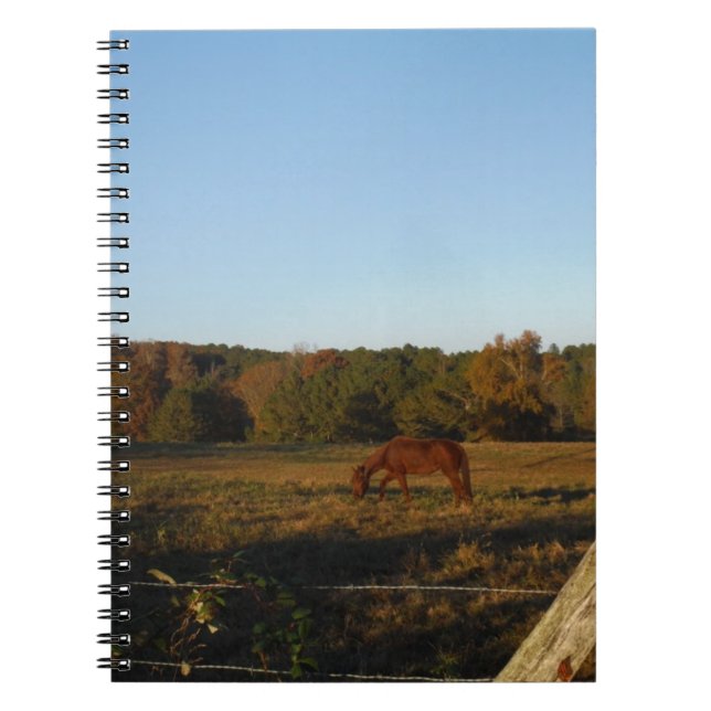 Carnet Brown horse in the Sun (Devant)