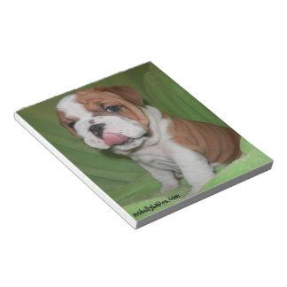 Carnet Brute Amour Bouledogue