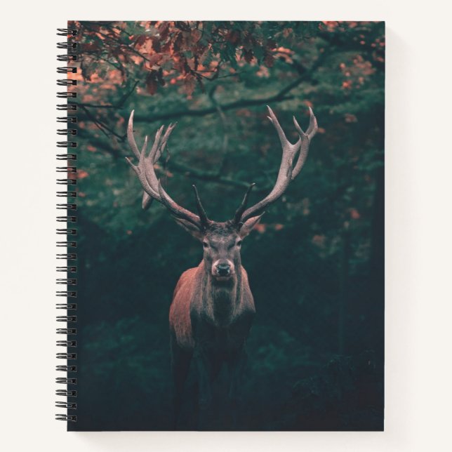 Carnet Buck Deer animal sauvage (Devant)