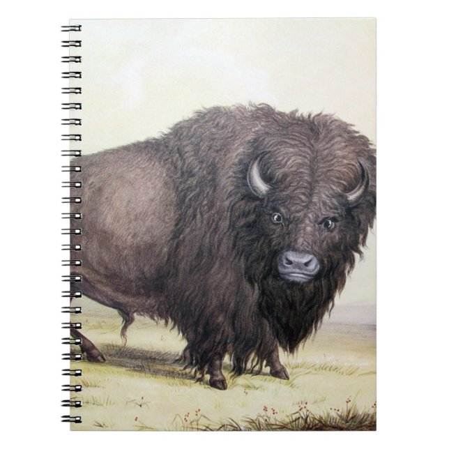 Carnet Bull Buffalo (Devant)