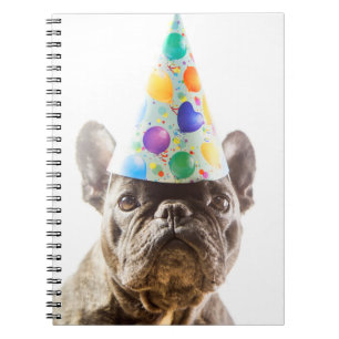 Carnet Bulldog français avec Casquette du Parti