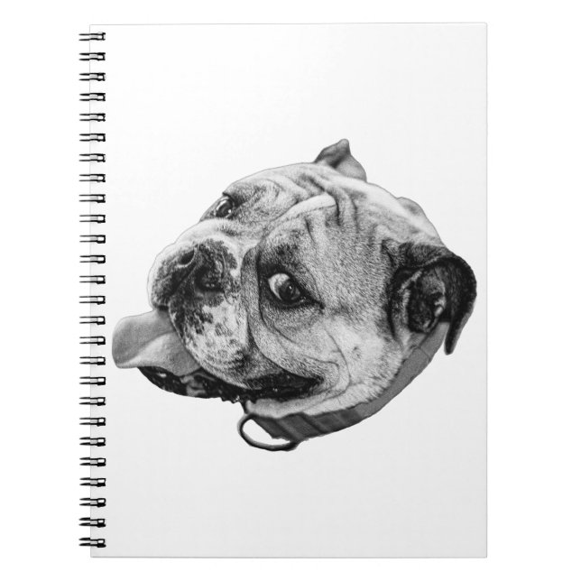 Carnet Bulldog Notes (Devant)