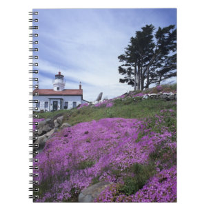 Carnet CA, Crescent City, phare de Battery Point avec