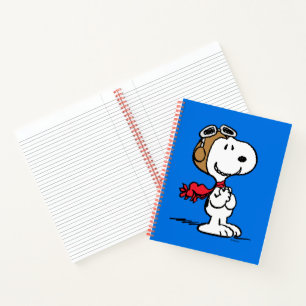 Carnet cacahuètes Snoopy L'As Volant