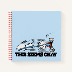 Carnet cacahuètes Snoopy & Linus